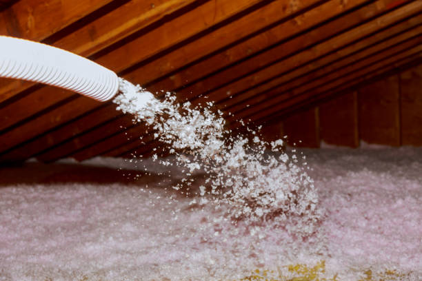 Best Insulation Air Sealing  in Daphne, AL